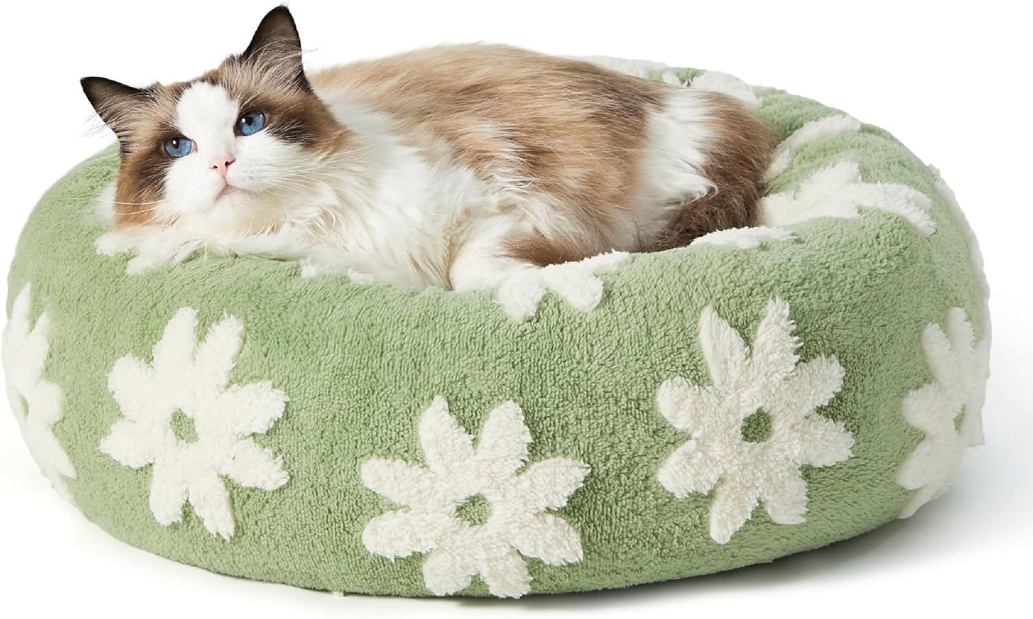 Donut Small Dog Bed - Round Cat Beds for Indoor Cats Calming Pet Beds, Cute Modern Beds with Jacquard Shaggy Plush & Anti Slip Bottom, 20 Inch, Green,XS (20x20x6)