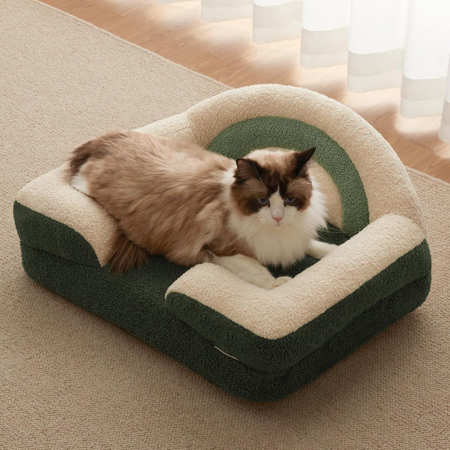 Foam Cat Bed Small Size, Washable Pet Bed for Cats and Dogs, Soft Teddy Plush with Rainbow Design (Green)